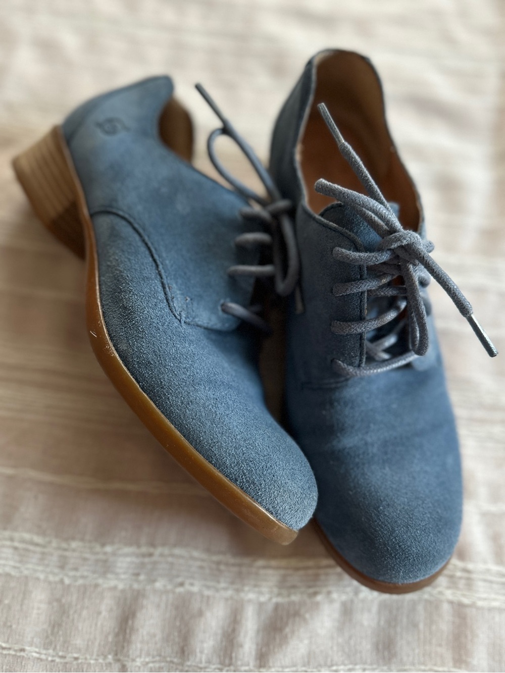Børn Mott Blue Suede Lace Up Oxfords | 6.5 M/W